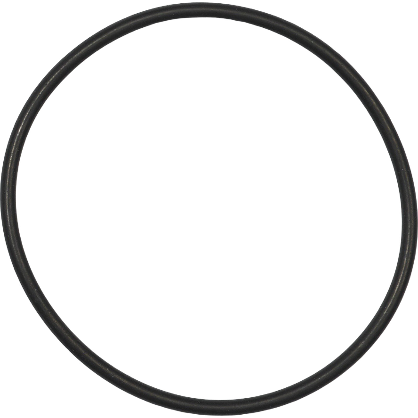Bosch O-Ring